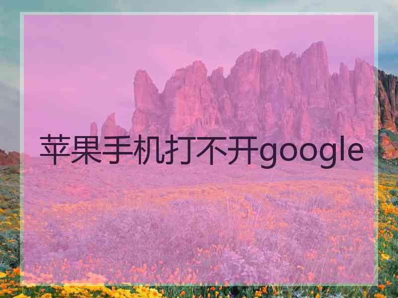 苹果手机打不开google