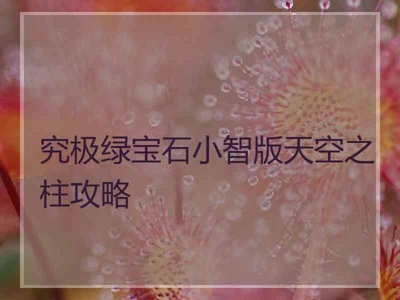究极绿宝石小智版天空之柱攻略