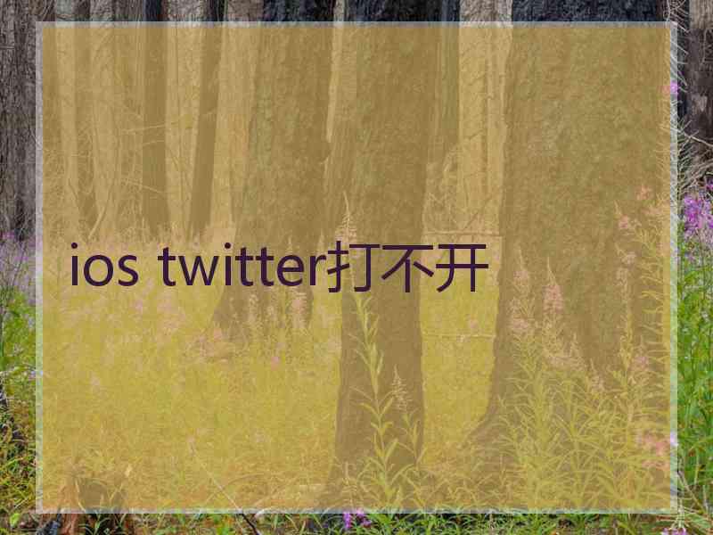 ios twitter打不开