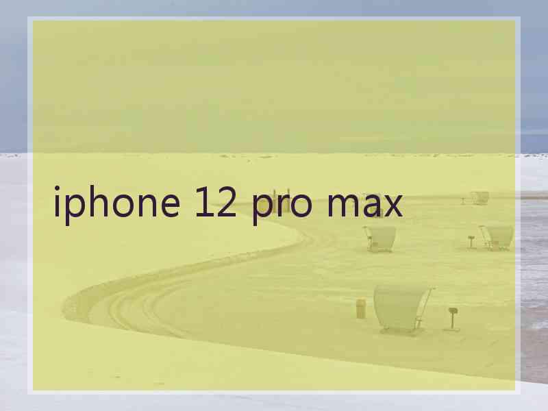 iphone 12 pro max