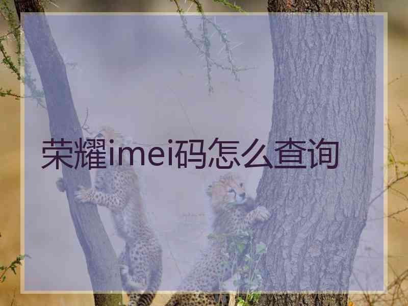 荣耀imei码怎么查询