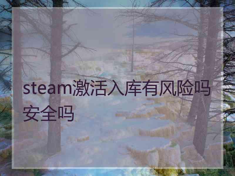 steam激活入库有风险吗安全吗
