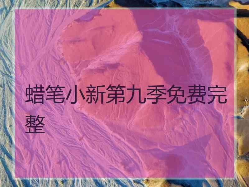 蜡笔小新第九季免费完整