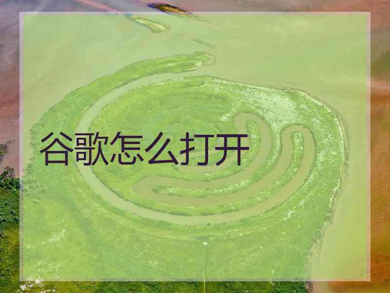 谷歌怎么打开