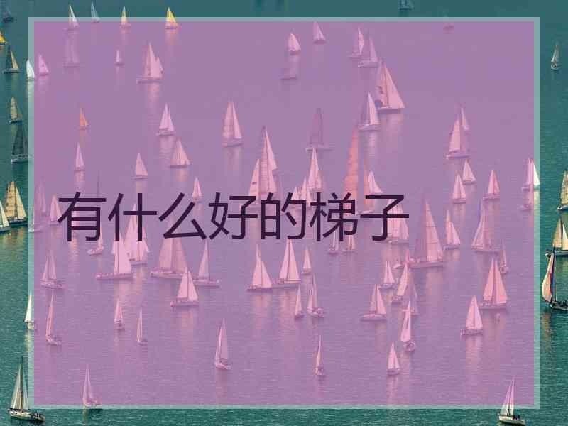 有什么好的梯子