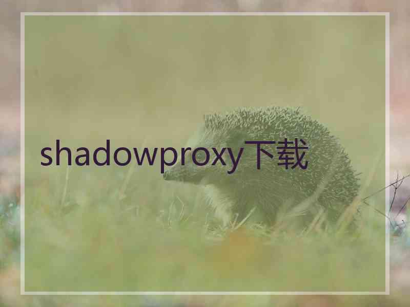 shadowproxy下载
