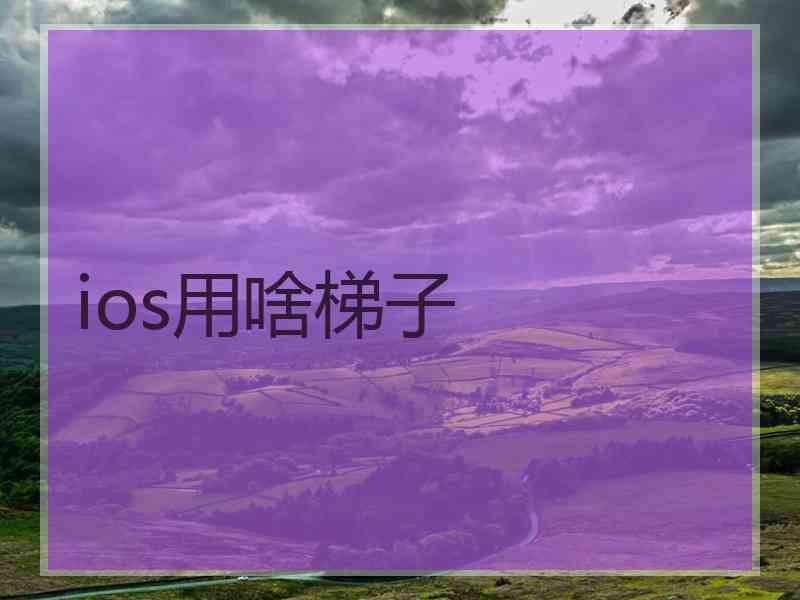 ios用啥梯子