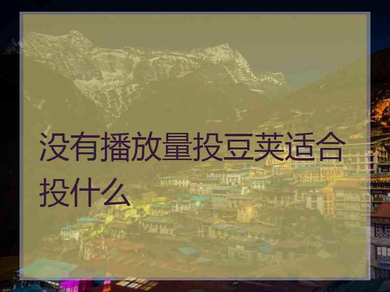 没有播放量投豆荚适合投什么