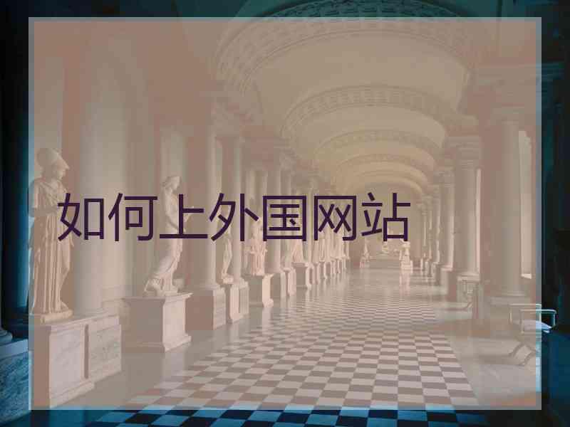 如何上外国网站