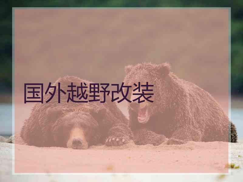 国外越野改装