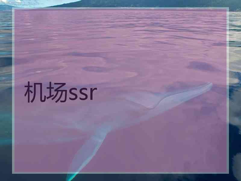 机场ssr