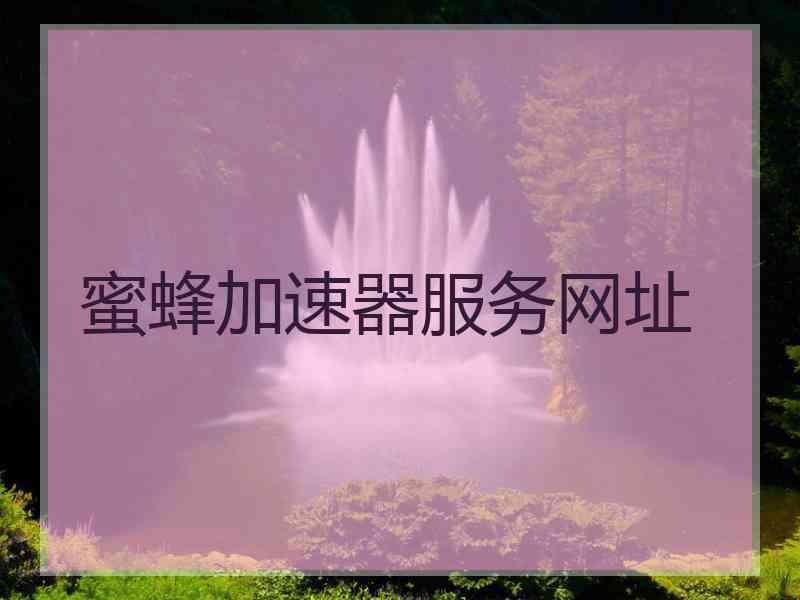 蜜蜂加速器服务网址