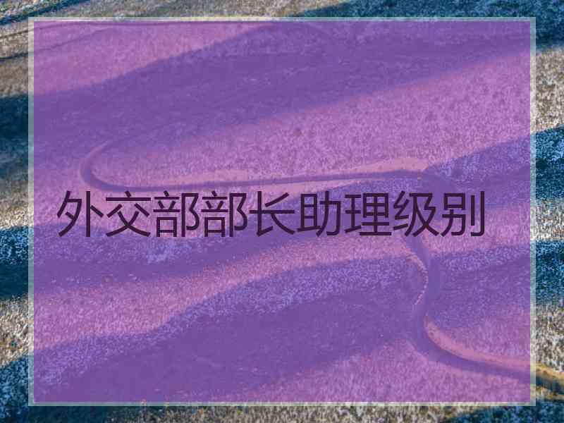 外交部部长助理级别