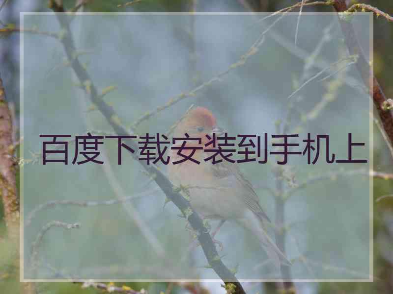 百度下载安装到手机上