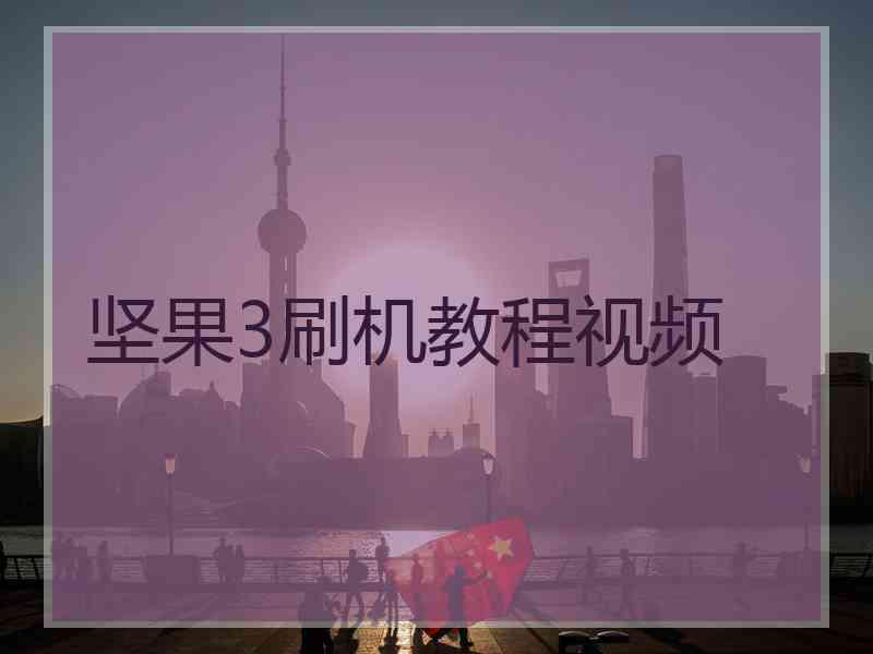 坚果3刷机教程视频