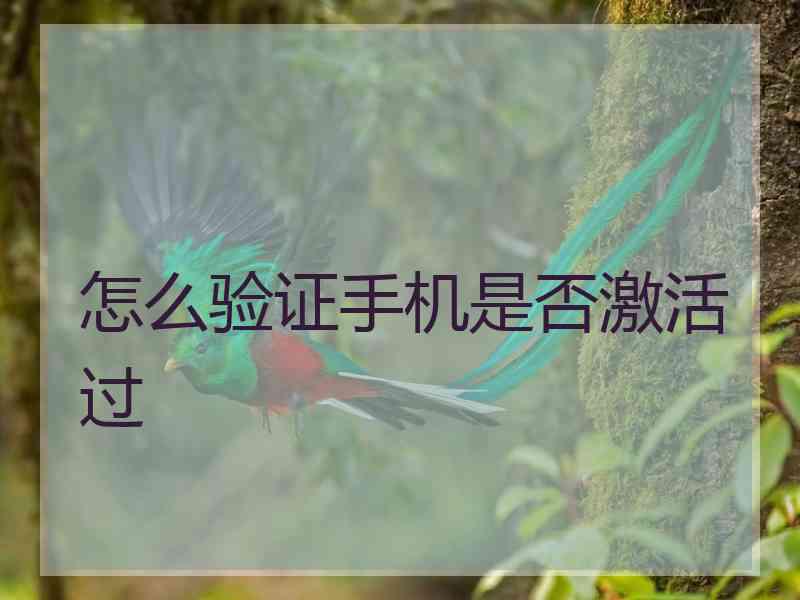 怎么验证手机是否激活过