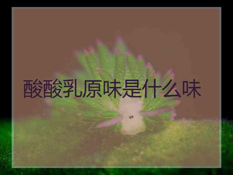 酸酸乳原味是什么味