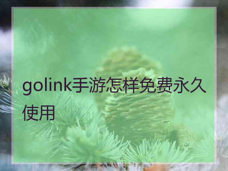 golink手游怎样免费永久使用