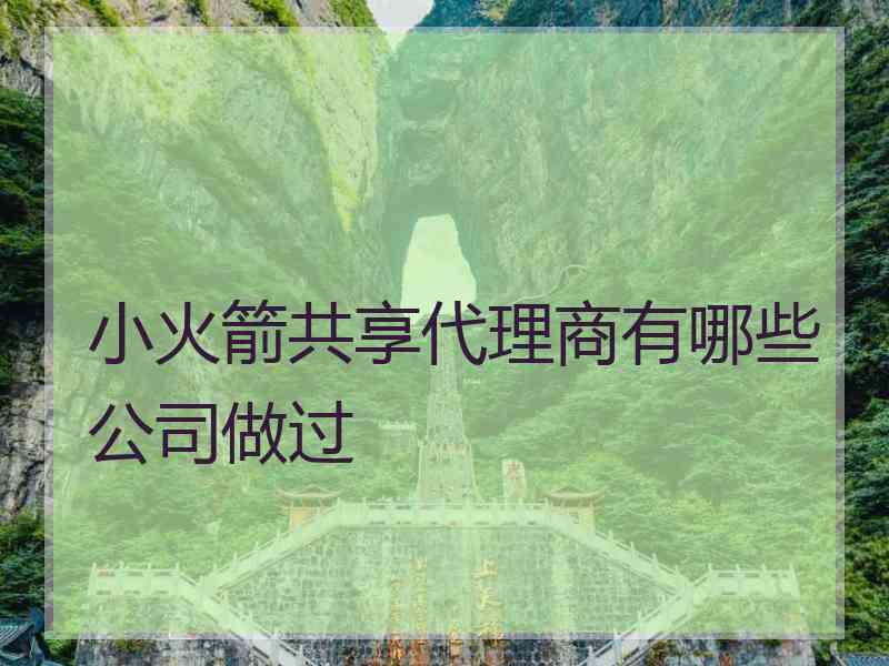 小火箭共享代理商有哪些公司做过