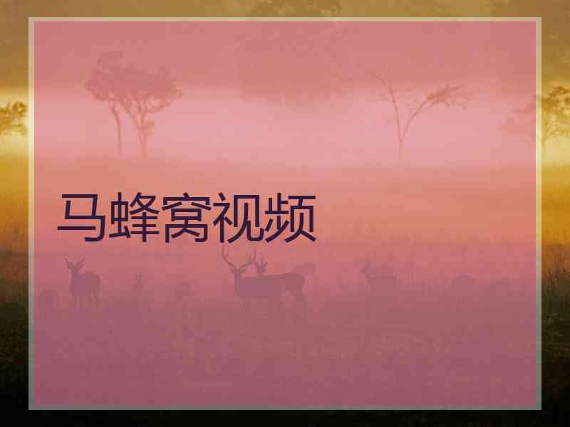 马蜂窝视频