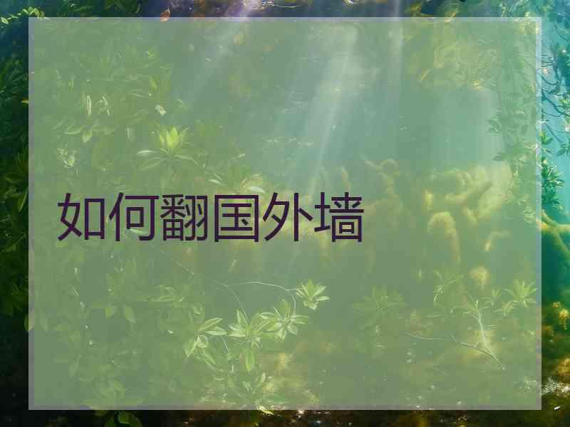 如何翻国外墙