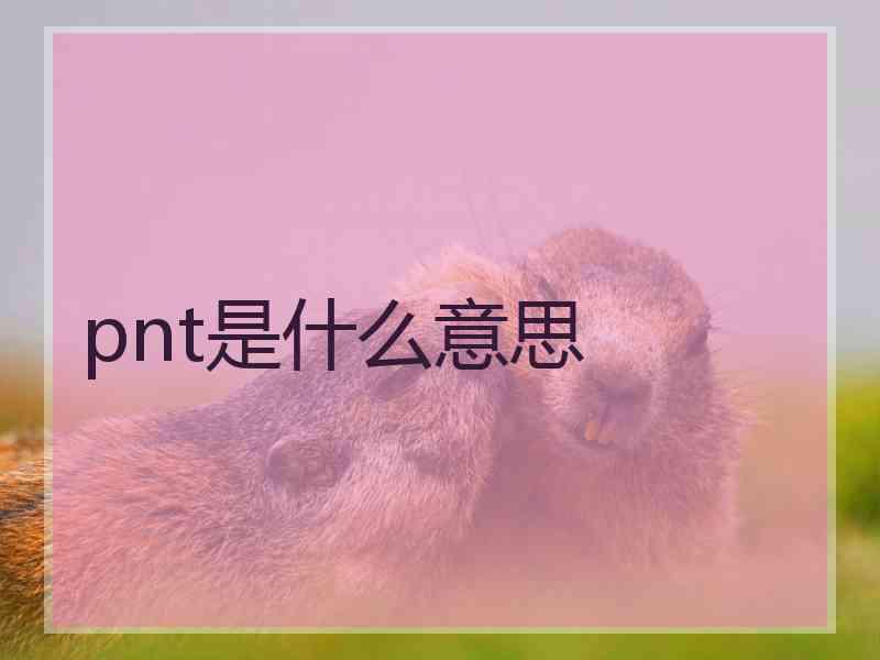 pnt是什么意思