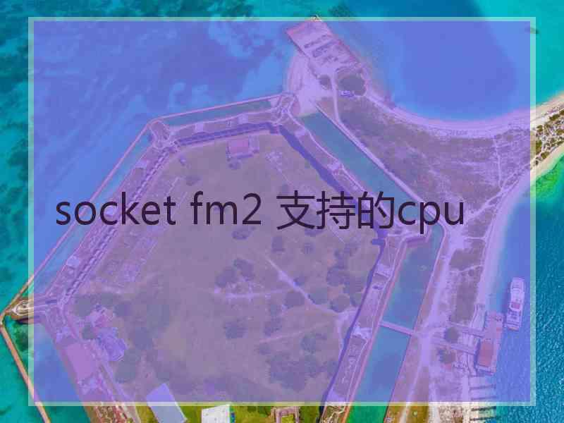 socket fm2 支持的cpu