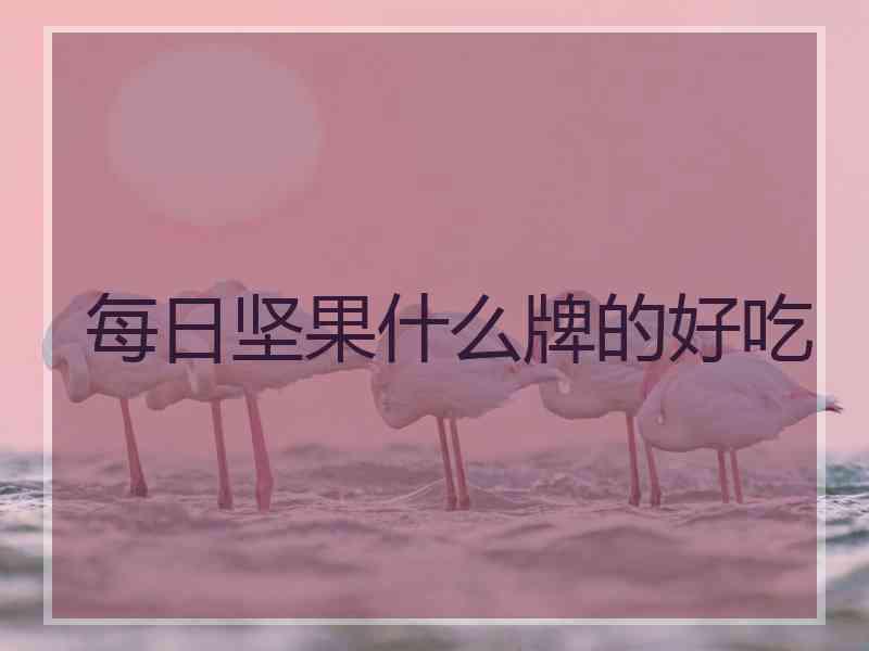每日坚果什么牌的好吃