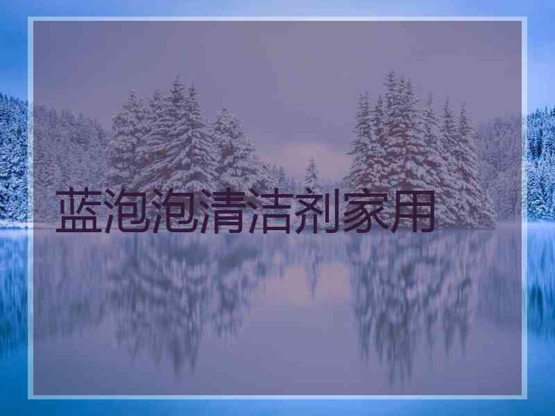 蓝泡泡清洁剂家用