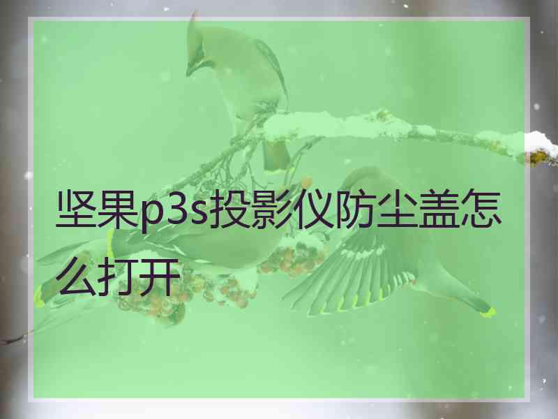 坚果p3s投影仪防尘盖怎么打开