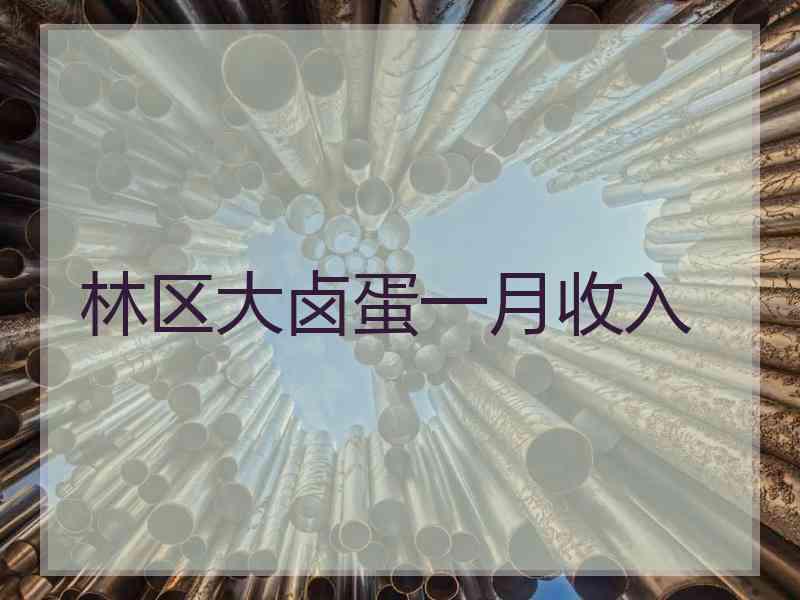 林区大卤蛋一月收入