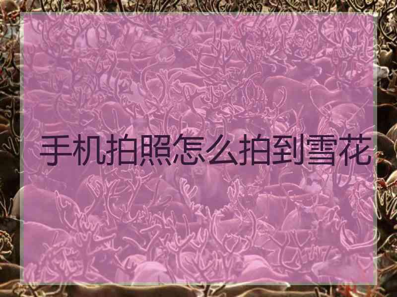 手机拍照怎么拍到雪花
