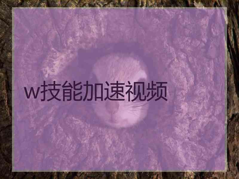 w技能加速视频