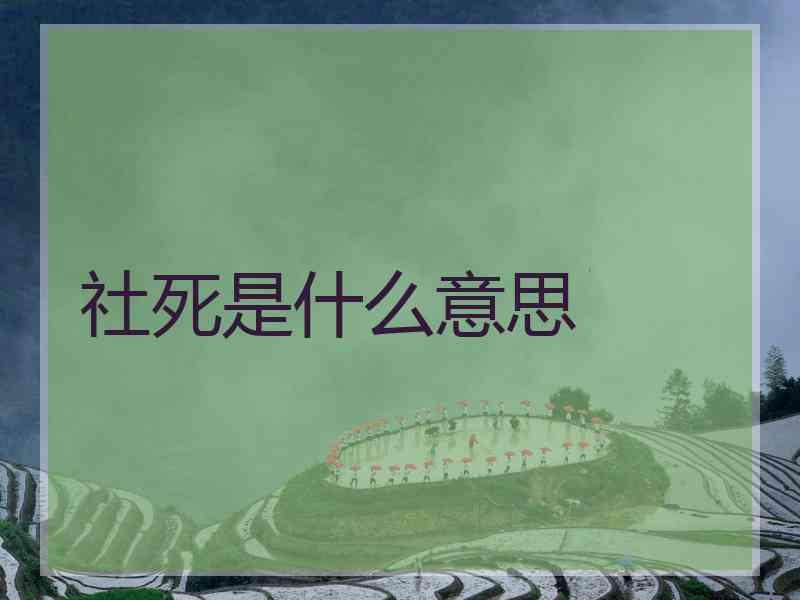 社死是什么意思