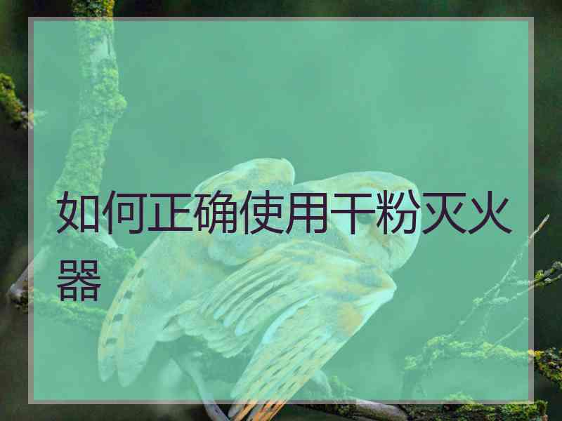如何正确使用干粉灭火器