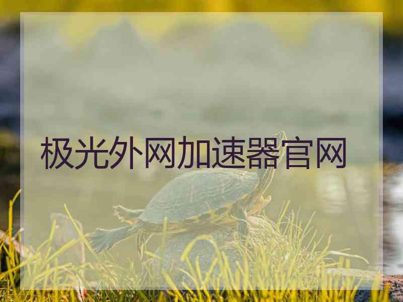 极光外网加速器官网