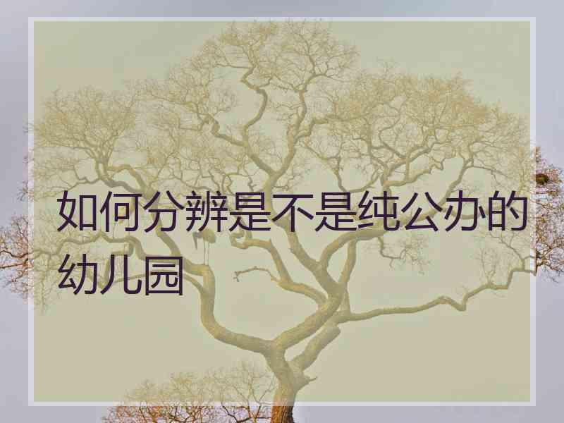 如何分辨是不是纯公办的幼儿园