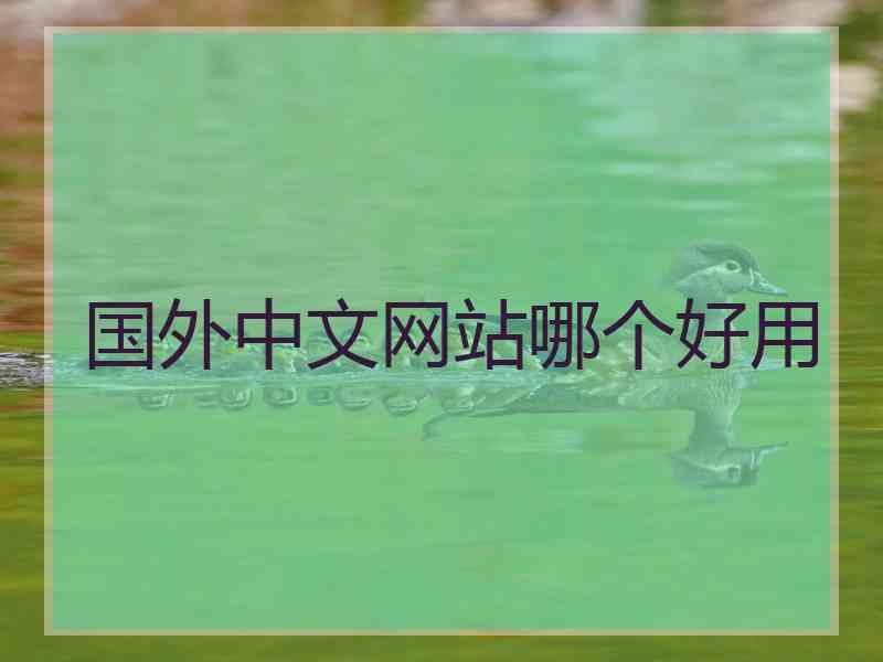 国外中文网站哪个好用