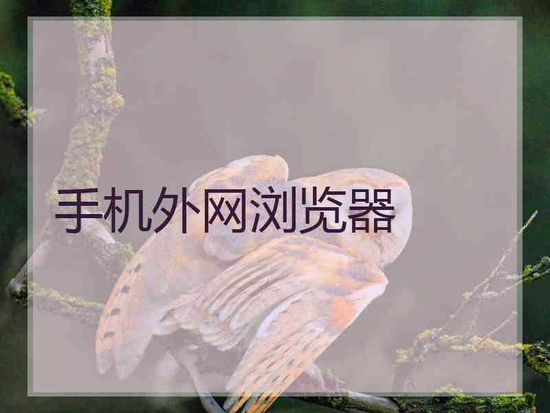 手机外网浏览器