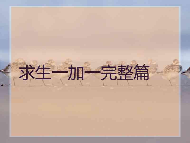 求生一加一完整篇