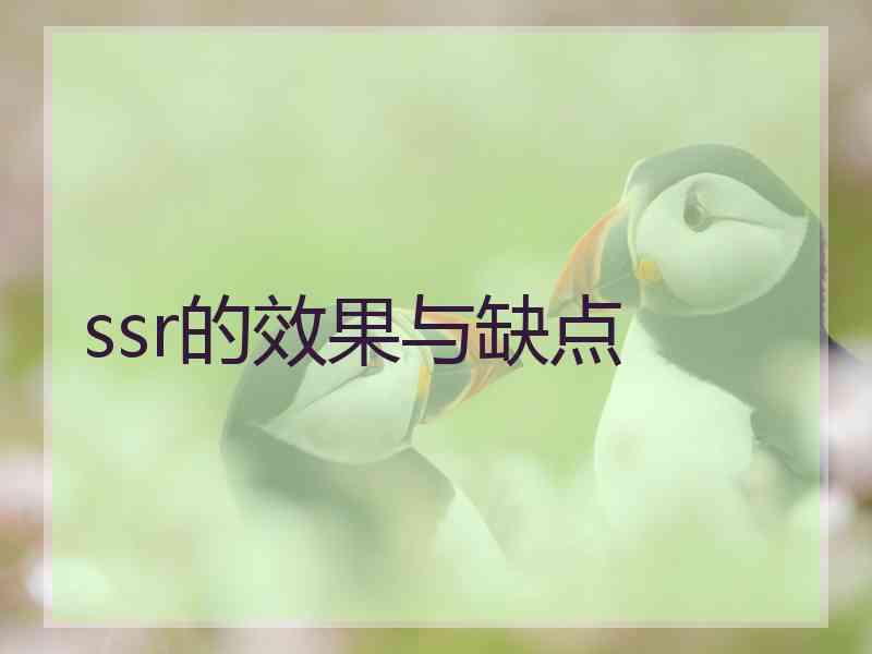 ssr的效果与缺点