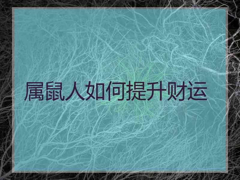 属鼠人如何提升财运