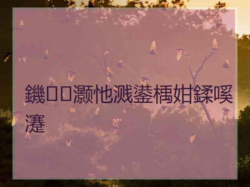 鐖灏忚溅鍙楀姏鍒嗘瀽