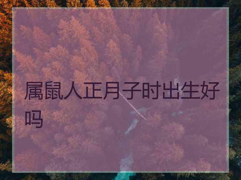 属鼠人正月子时出生好吗