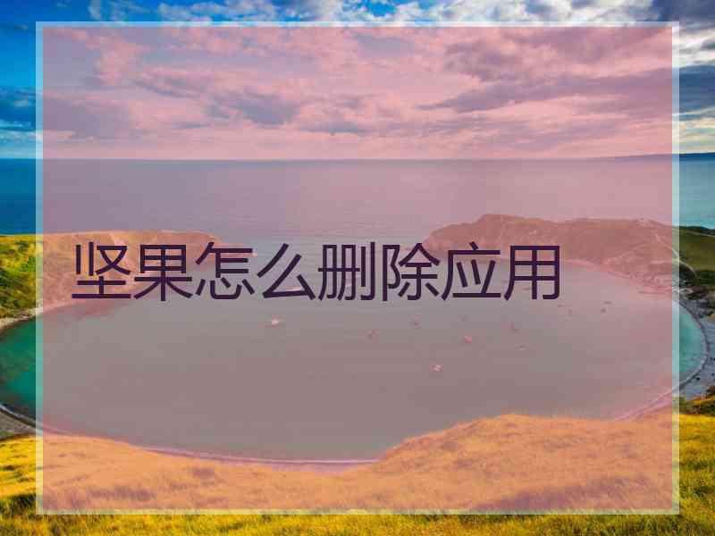 坚果怎么删除应用