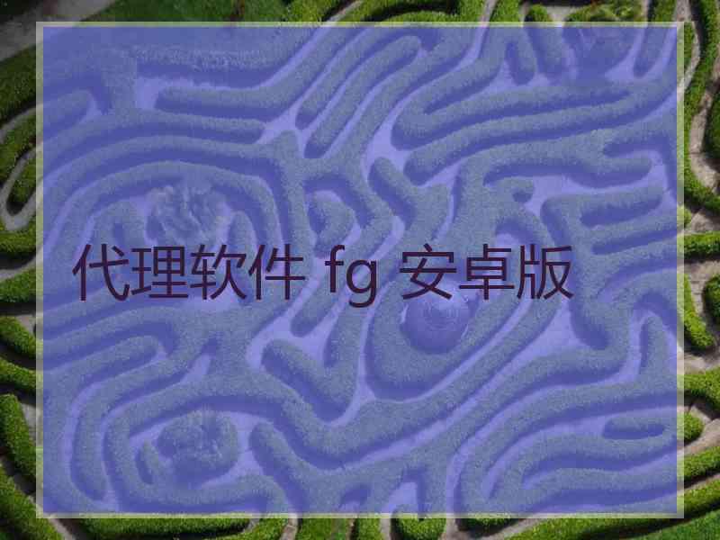 代理软件 fg 安卓版