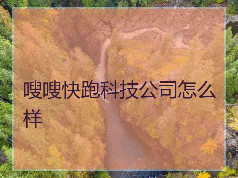 嗖嗖快跑科技公司怎么样