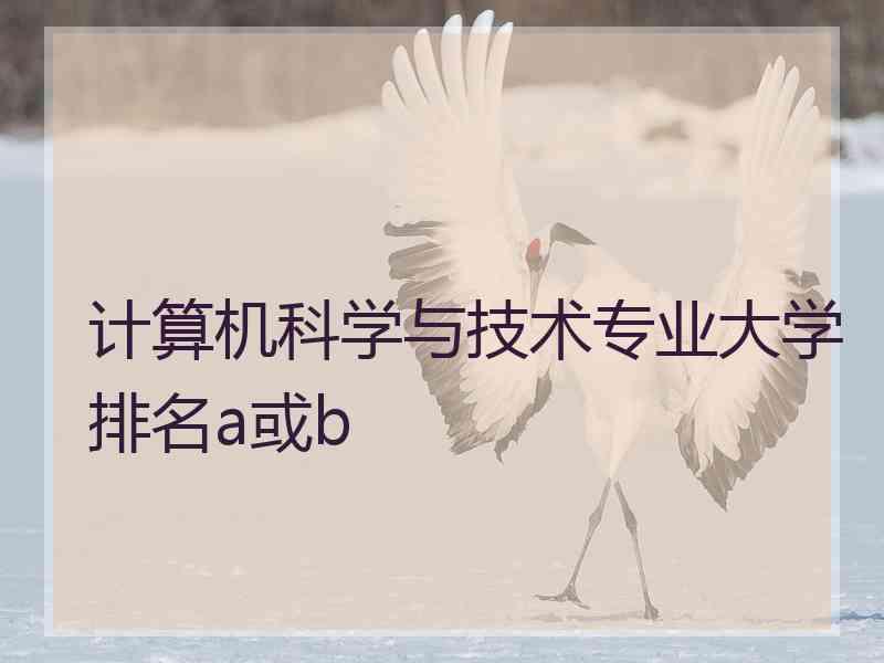 计算机科学与技术专业大学排名a或b