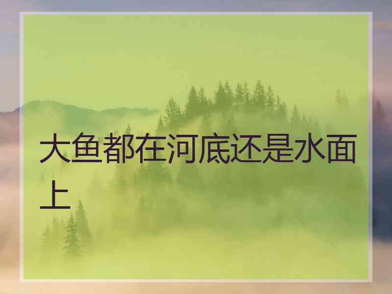 大鱼都在河底还是水面上