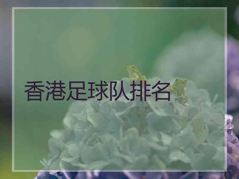 香港足球队排名